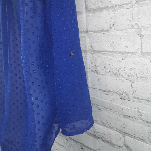 Signature Studio Blouse Womens Small Blue Swiss Dot Eyelet Button Down Top Sheer - Picture 6 of 8